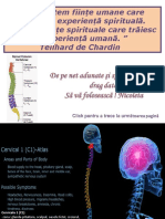 Coloana_vertebrala Si Bolie