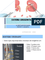 SISTEM URINARY