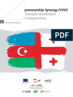 Cooperation Opportunities Between Cross-Border Regions of Azerbaijan and Georgia - Baseline Study