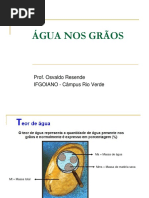 Agua Nos Grãos Mestrado Transp