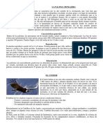 Textos Informativos 3 y 4