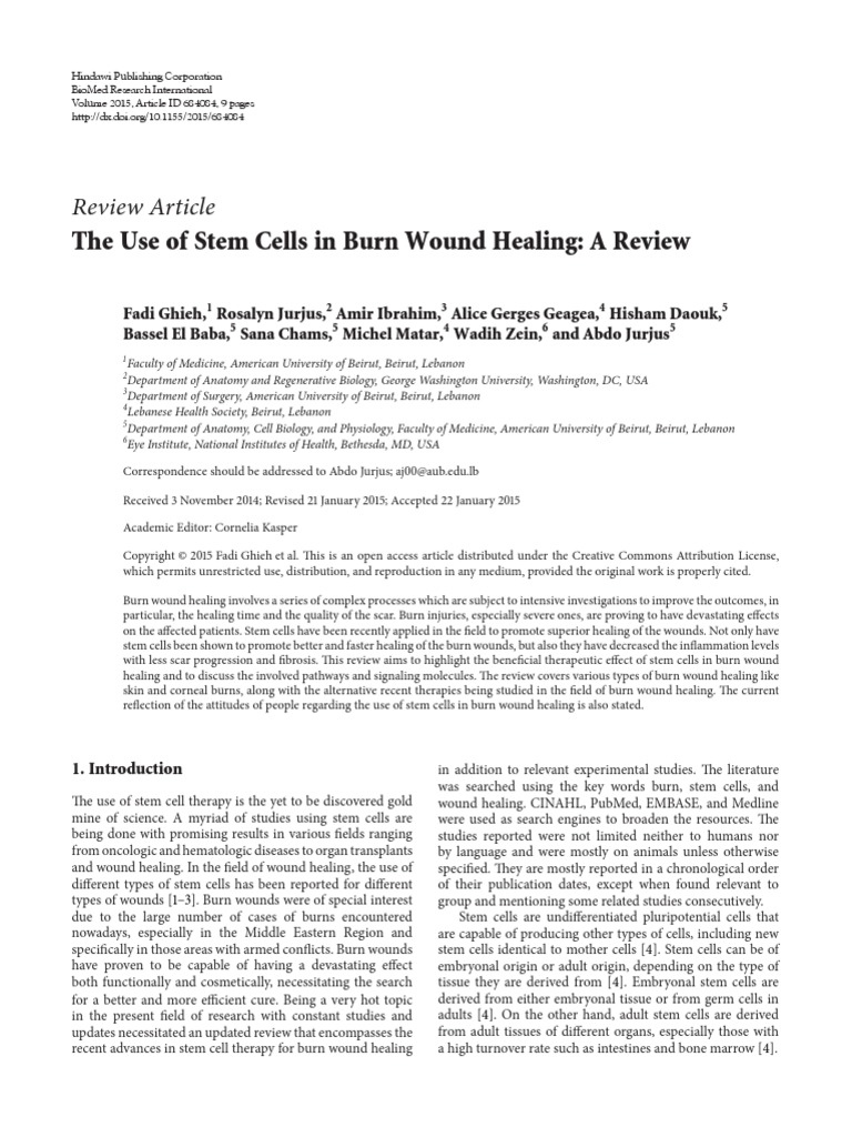 Review Article: The Use of Stem Cells in Burn Wound Healing: A Review ...