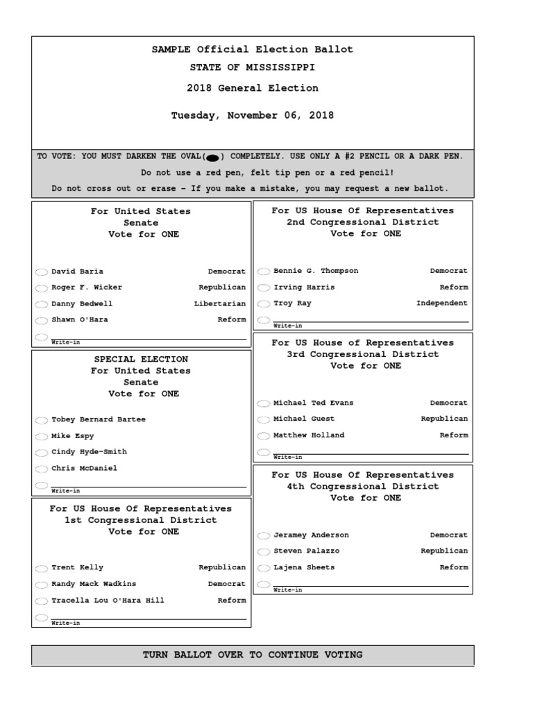 Essay general election 2018 image