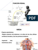 1 función renal 2014_2.pdf