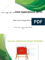 3.1.4.4 Penyakit Degeneratif Pada Sistem Urogenital Pria (BPH)