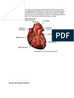 Anatomy of Heart - Ryan