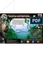 Cross River Gorilla Poster