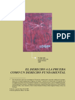 RuizLuis_2007_DerechoPruebaFundamental.pdf