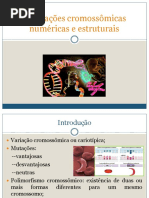 AULA - Aberrações cromossômicas numéricas e estruturais 