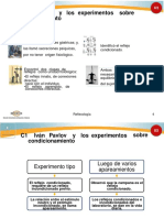 (199206440) Reflexologia Semana 03