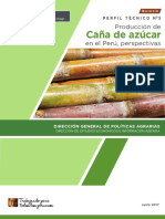 boletin-prod-cana-azucar.pdf