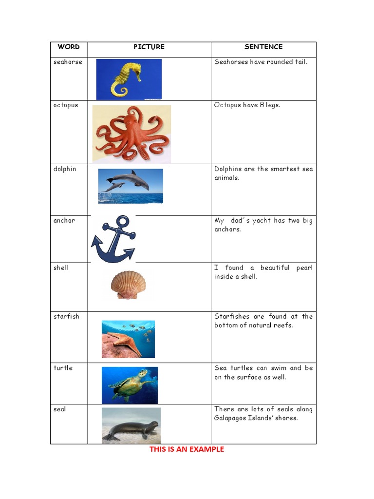 Pictographic Sentences of Sea Creatures | PDF