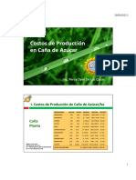 Costos de Producción en Cañade Azúcar