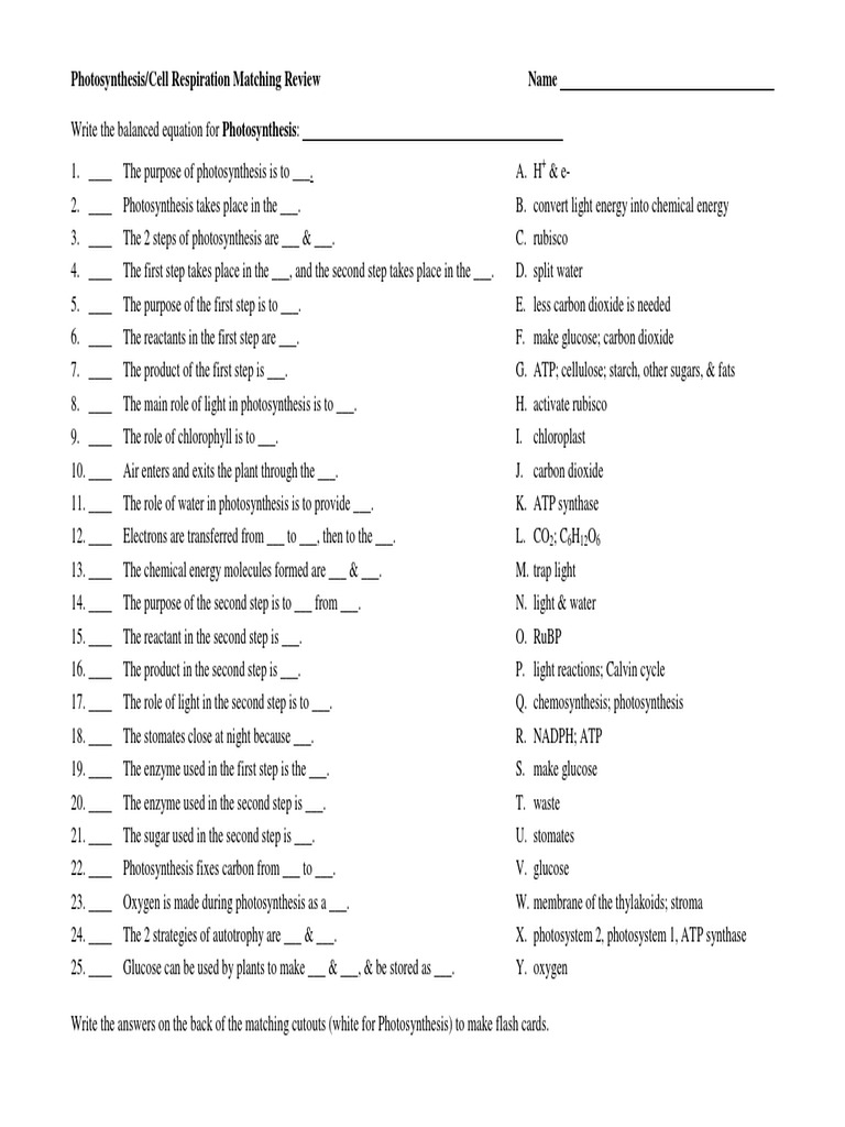 Biology | PDF | Cellular Respiration | Photosynthesis
