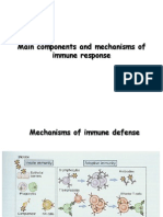 Main Components and Mechanisms of the Immune Response Explained