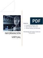 Información Virtual