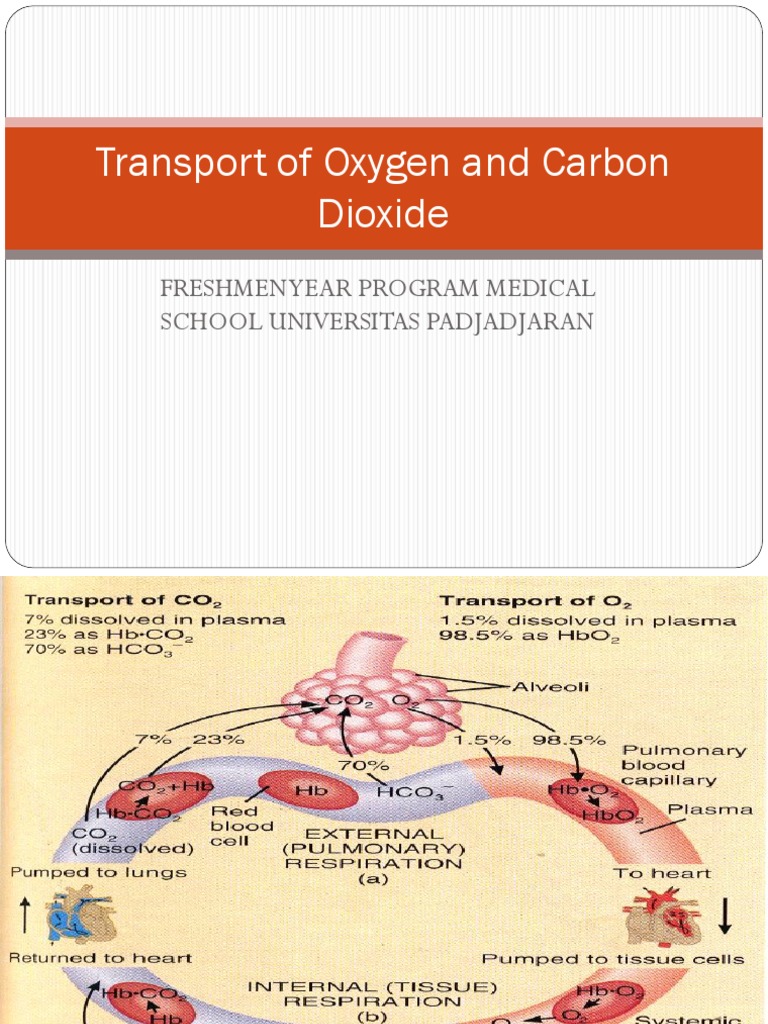 Gas Transport Mechanisms in Blood | PDF