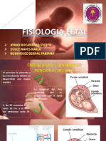 Fisiologia Fetal y Lactancia