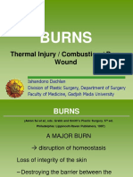 Burns: Thermal Injury / Combustion / Burn Wound