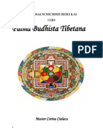 Palma Budhista Tibetana, Curs Practicant