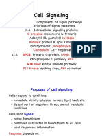 Ch11- Cell Signaling Slides