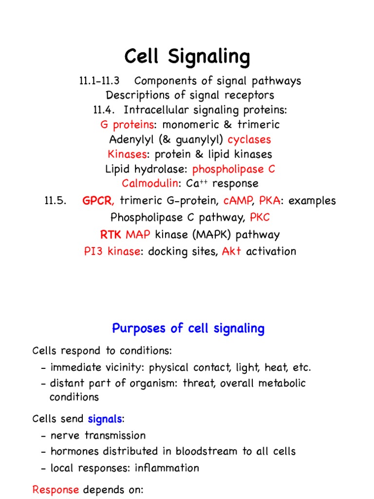 Cell Signaling Mechanisms Overview | PDF | G Protein–Coupled Receptor ...