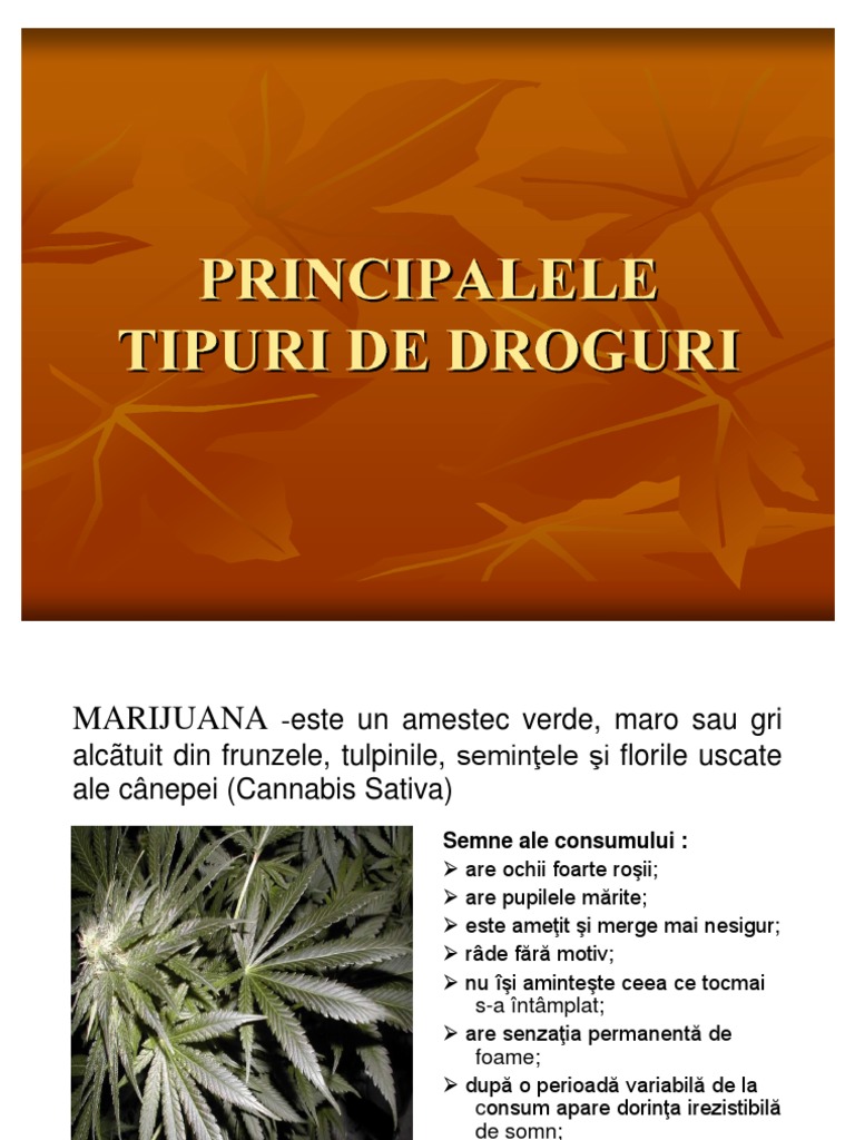 Tipuri de Droguri | PDF