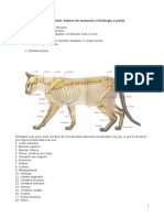 72587027-Anatomia-pisicii.doc