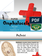 OBGYN Anisa-Omphalocele - PPT New - 2