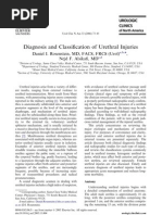 Download Diagnosis and Classification of Urethral Injuries by leo SN3925101 doc pdf