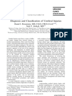 Download Diagnosis and Classification of Urethral Injuries by leo SN3925101 doc pdf