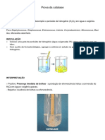 Prova Da Catalase