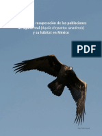 Águila Real VF 2012 PDF