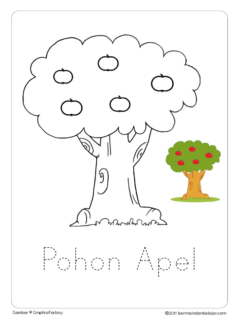 Mewarnai Gambar Pohon Apel