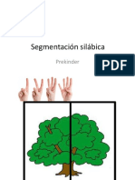 Segmentación Silábica