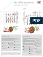 NCCN Rectal Cancer Guidelines 2018 Benson 874 901