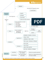 Caderno Alfa Memo