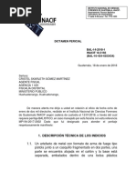 Dictamen Pericial Arma