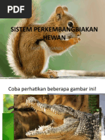Sistem Perkembangbiakan Hewan