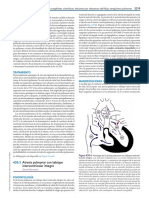 Atresia Pulmonar- Nelson