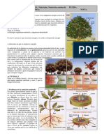 ficha2ESO Nutrición2 PDF