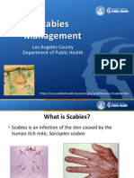 Scabies MGMT PP T