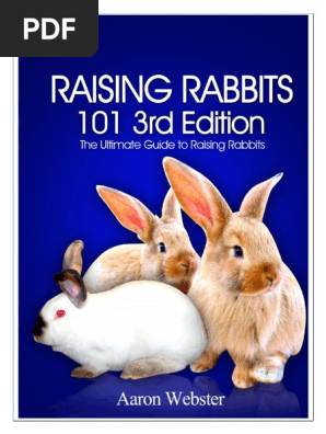Raising Rabbit