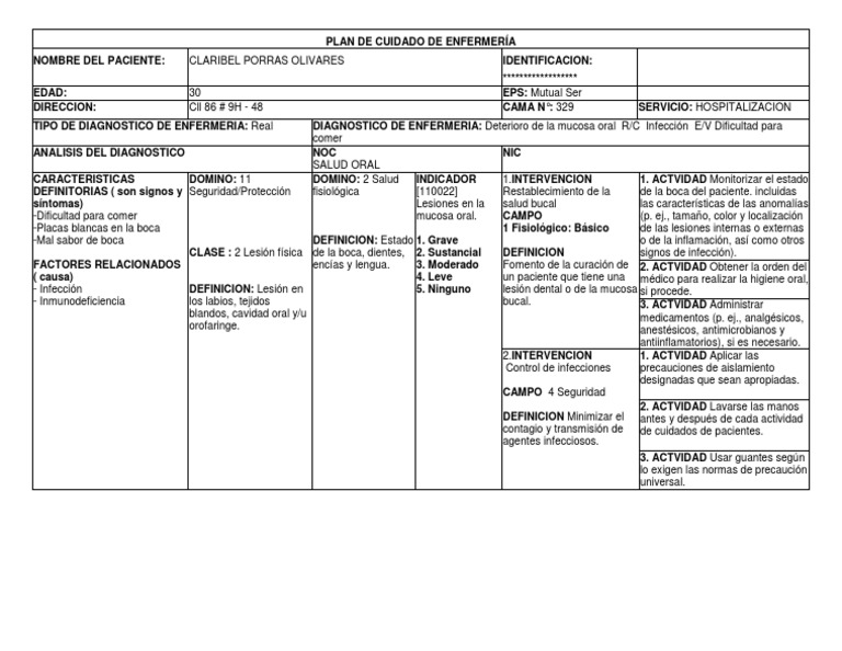 Plan de Cuidado de Enfermería PDF Boca Enfermería