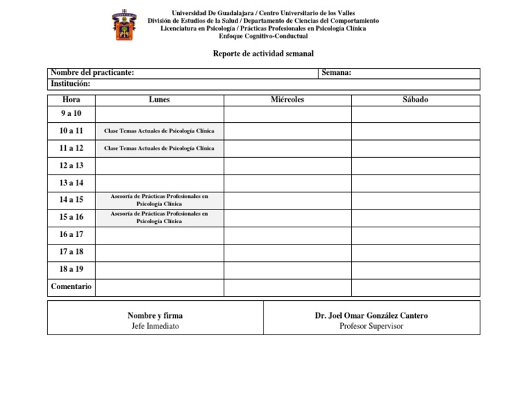 Formato de Reporte Semanal PDF