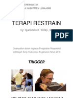 TERAPI_RESTRAIN.pptx