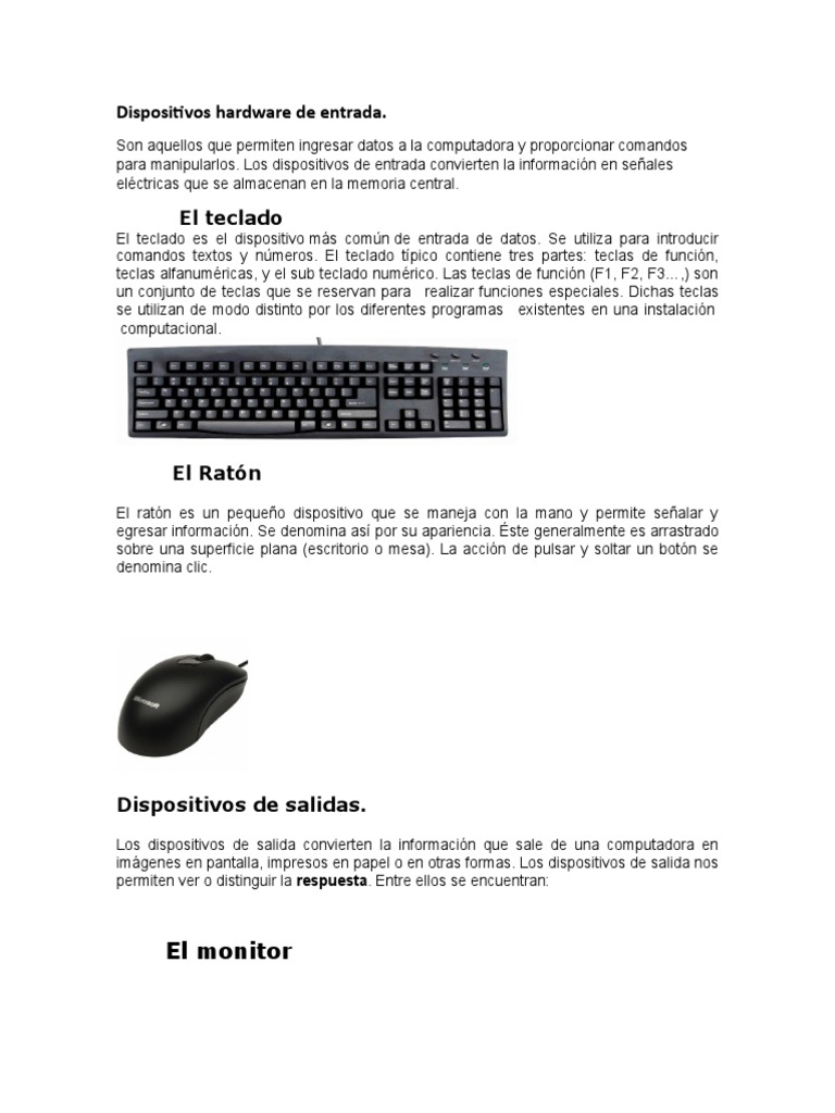 Dispositivos Hardware de Entrada | PDF | Periférico | Almacenamiento de