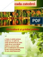 ziua silvicultorului 2017-2018.pptx