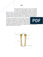 Torsion Tibial