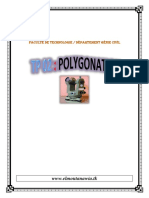 02 Polygonation PDF